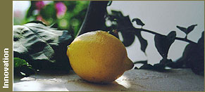 Un citron plein de santé obtenu avec les dernières méthodes de culture biologique